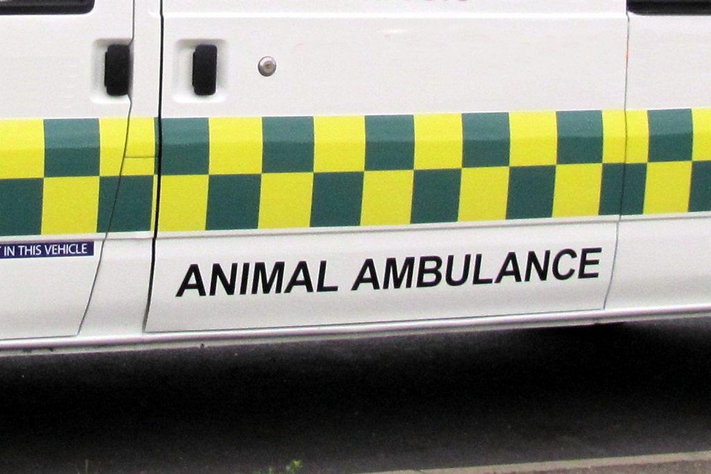 veterinary ambulance logo on side of ambulance