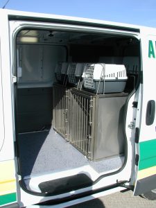 dog van