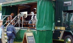 a van conversion selling rocking horses