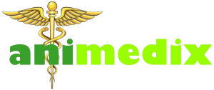 Animedix logo 